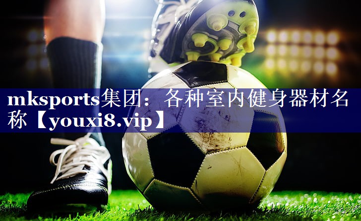 mksports集团：各种室内健身器材名称