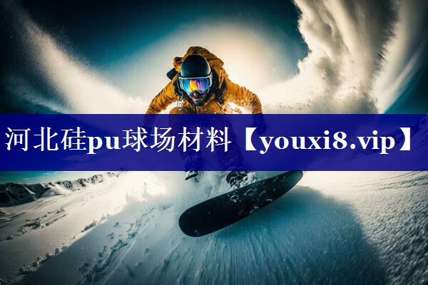 河北硅pu球场材料