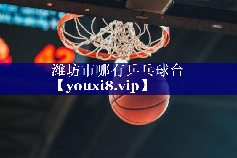 潍坊市哪有乒乓球台