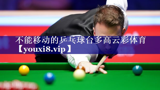 不能移动的乒乓球台多高云彩体育