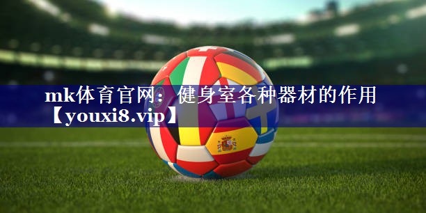 mk体育官网：健身室各种器材的作用
