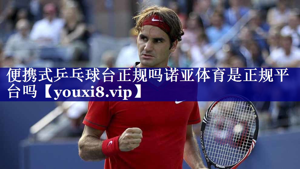 便携式乒乓球台正规吗诺亚体育是正规平台吗