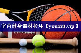 室内健身器材拉环