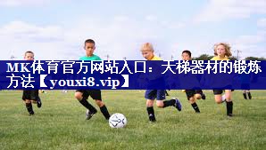 MK体育官方网站入口：天梯器材的锻炼方法
