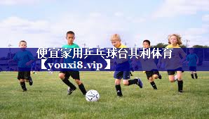 便宜家用乒乓球台其利体育