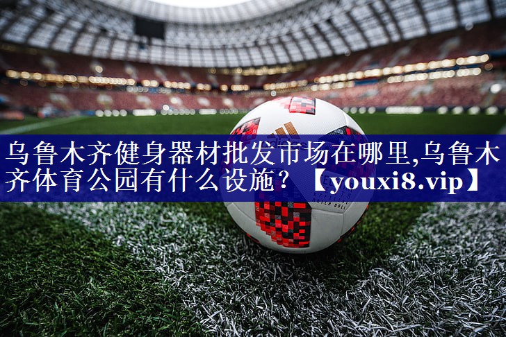 乌鲁木齐健身器材批发市场在哪里,乌鲁木齐体育公园有什么设施？