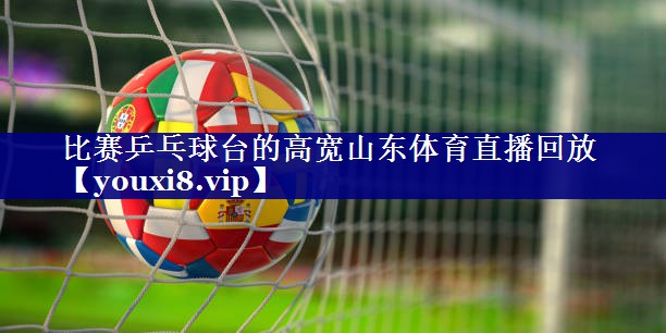 比赛乒乓球台的高宽山东体育直播回放