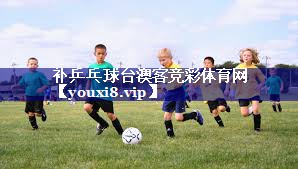 补乒乓球台澳客竞彩体育网