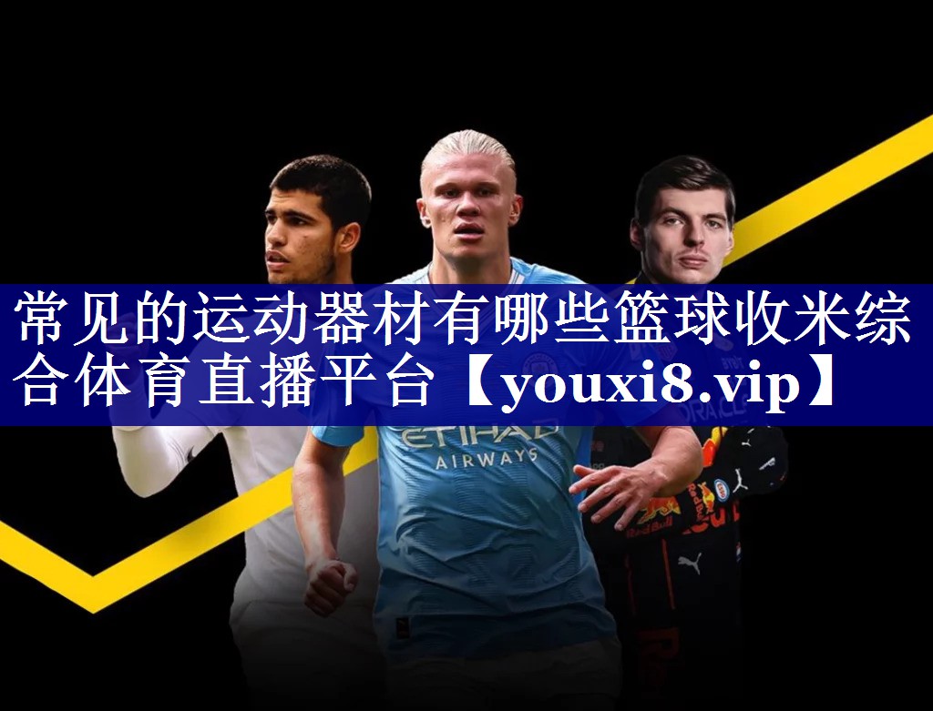 常见的运动器材有哪些篮球收米综合体育直播平台
