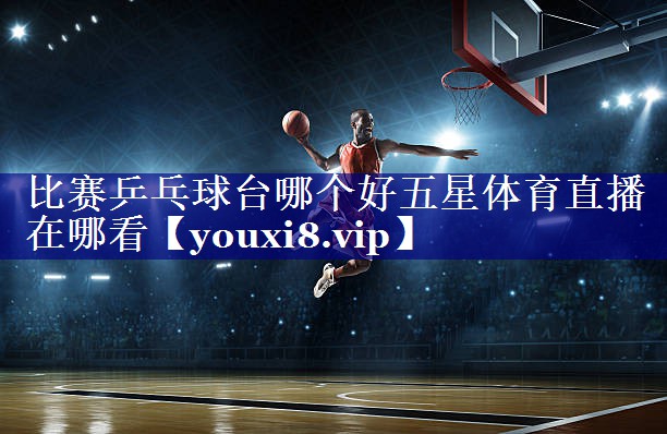 比赛乒乓球台哪个好五星体育直播在哪看