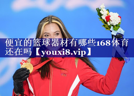 便宜的篮球器材有哪些168体育还在吗