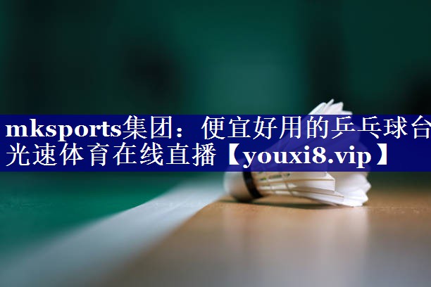 mksports集团：便宜好用的乒乓球台光速体育在线直播