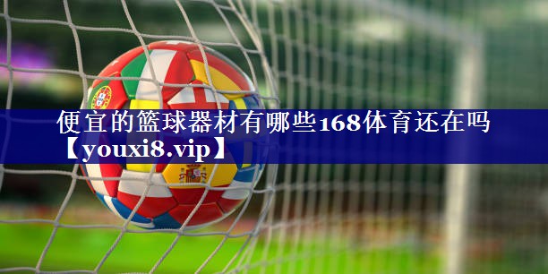 便宜的篮球器材有哪些168体育还在吗