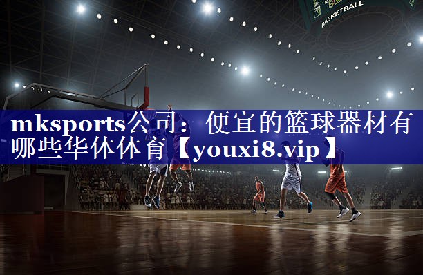 mksports公司：便宜的篮球器材有哪些华体体育