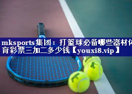 mksports集团：打篮球必备哪些器材体育彩票三加二多少钱