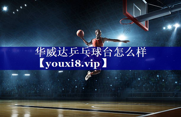 华威达乒乓球台怎么样