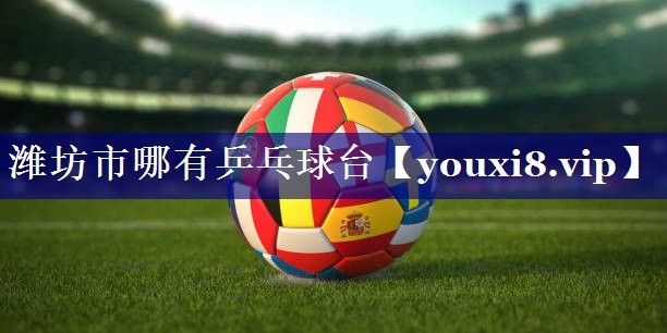 潍坊市哪有乒乓球台 潍坊市哪有乒乓球台