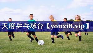 天府乒乓球台 天府乒乓球台