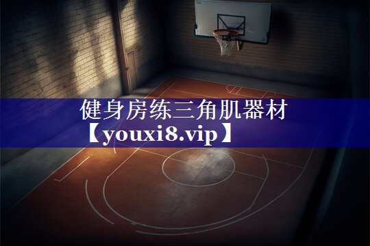 健身房练三角肌器材 健身房练三角肌器材