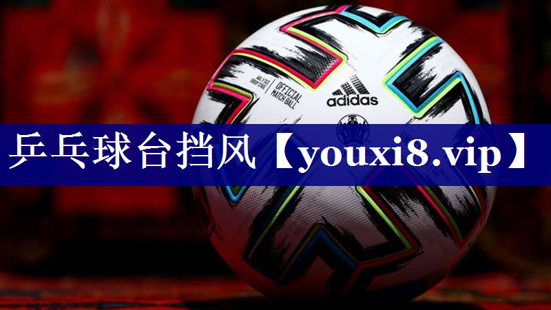 乒乓球台挡风 乒乓球台挡风
