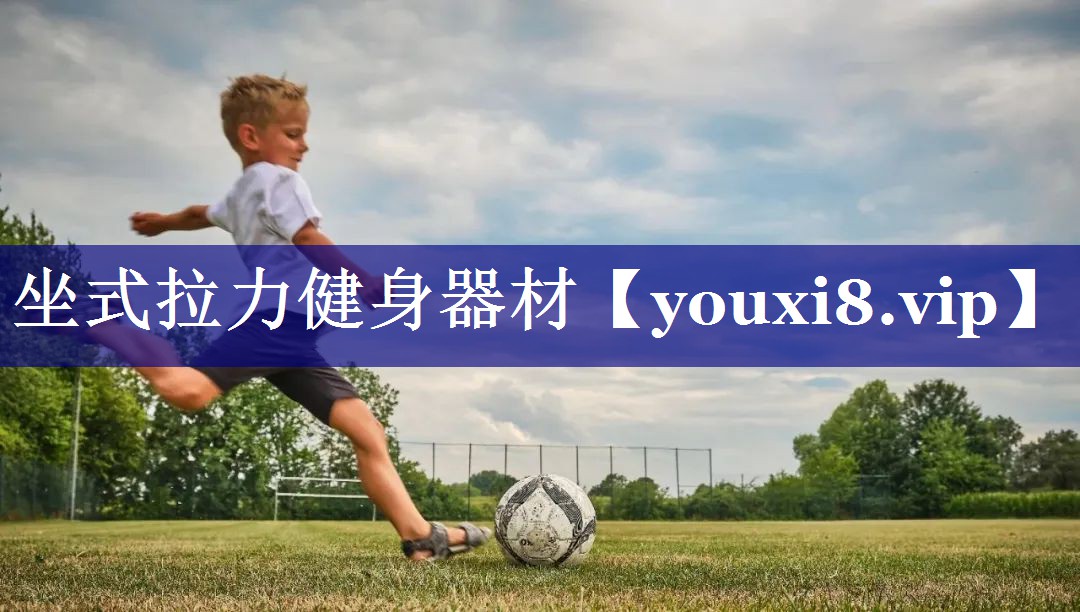 坐式拉力健身器材 坐式拉力健身器材