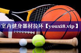 室内健身器材拉环 室内健身器材拉环